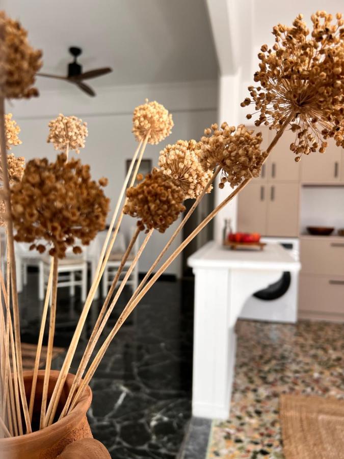 Apartment In Paros 外观 照片
